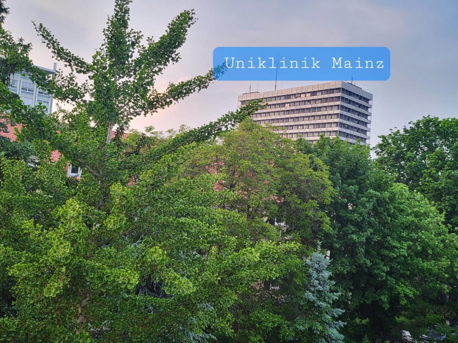 Gemuetliches Privatzimmer An Der Uniklinik Mainz. Sehr Zentral المظهر الخارجي الصورة